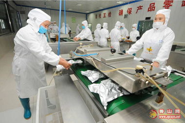 鳳凰于飛 碩果累累——食品開發(fā)與生產(chǎn)之路