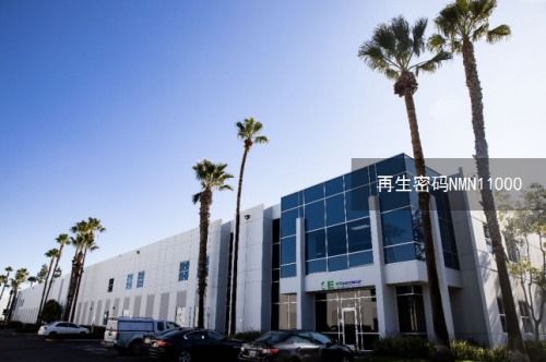 NMN抗衰食品 為特困戶提升NAD+水平，改善睡眠與延緩衰老的創(chuàng)新之路